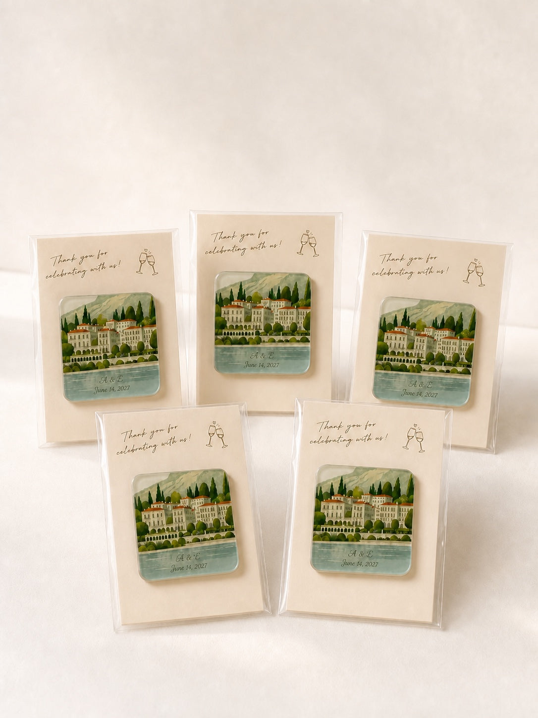 Vintage illustrated acrylic magnets on warm backing cards